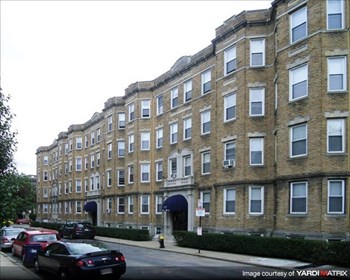 42 Strathmore Road & 6-10-14 Orkney Road Studio-2 Beds Apartment for Rent - Photo Gallery 2
