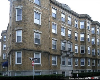 42 Strathmore Road & 6-10-14 Orkney Road Studio-2 Beds Apartment for Rent - Photo Gallery 3
