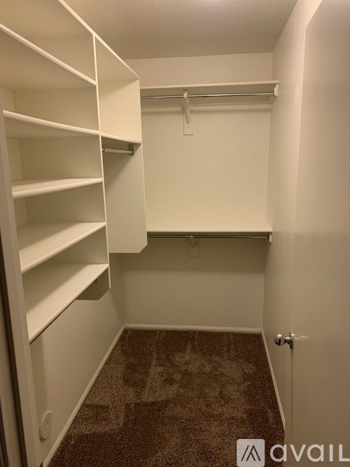 A small, empty closet with a carpeted floor.