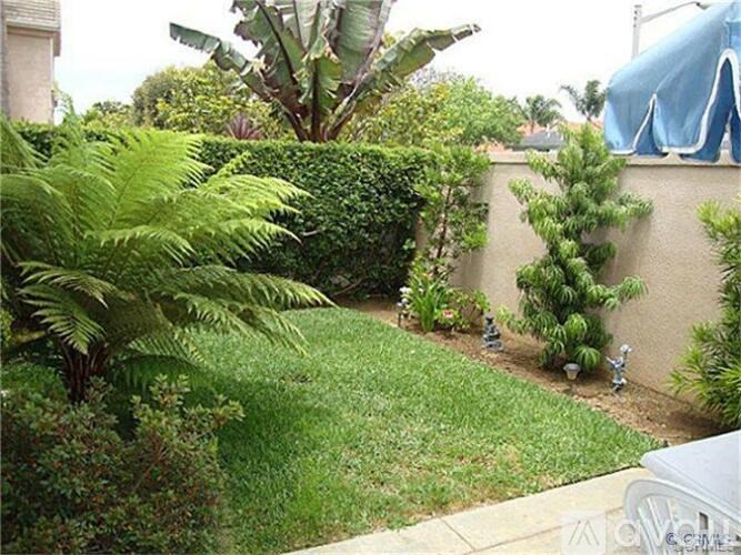 A garden with a fence and a tree.
