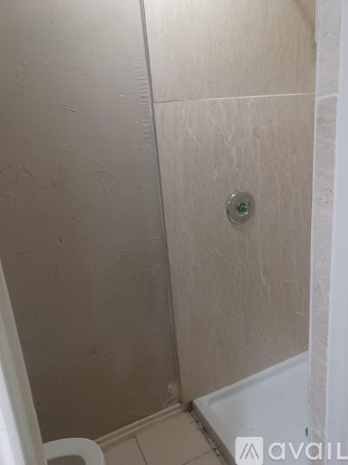 A bathroom with a toilet and a shower.