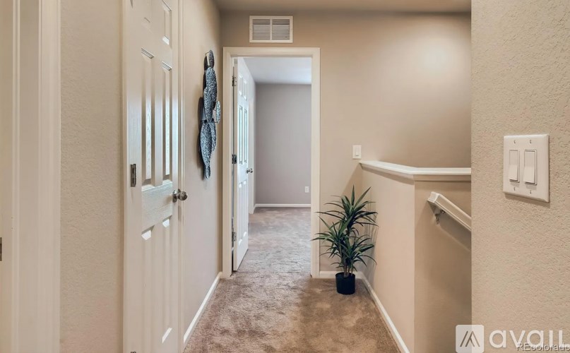 A hallway with a carpeted floor, a door with a mirror, and a plant.