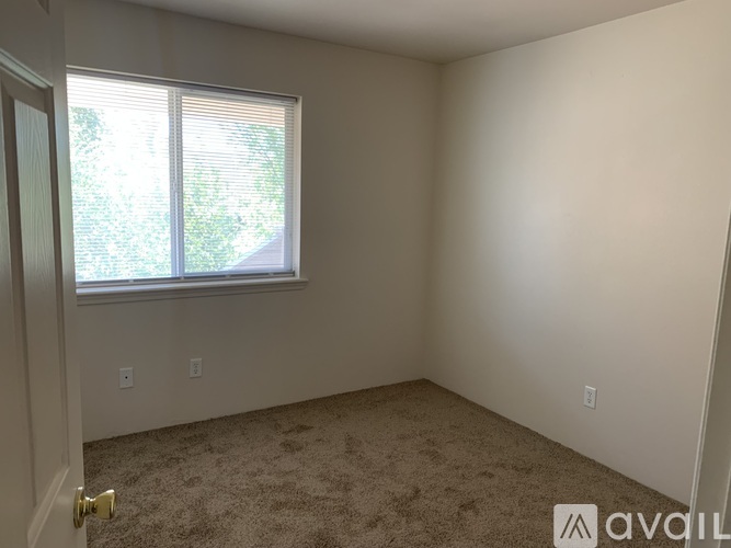 A carpeted room with a window and a door.