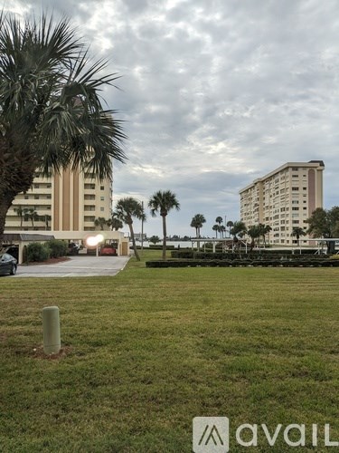 A grassy area with a tall building in the background and a car parked in the distance.