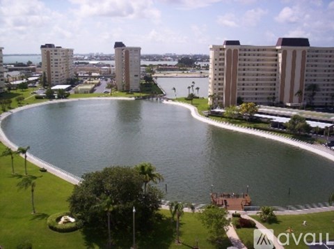 A large body of water surrounded by buildings and palm trees.