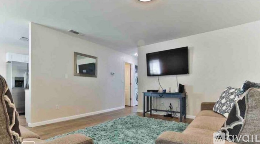A living room with a couch, a television, and a rug.