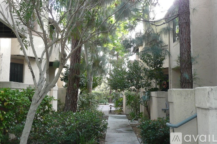 A tree-lined walkway between two buildings.