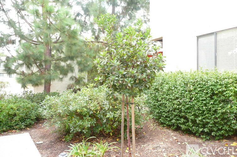 A garden with a variety of plants and a tree in the center.