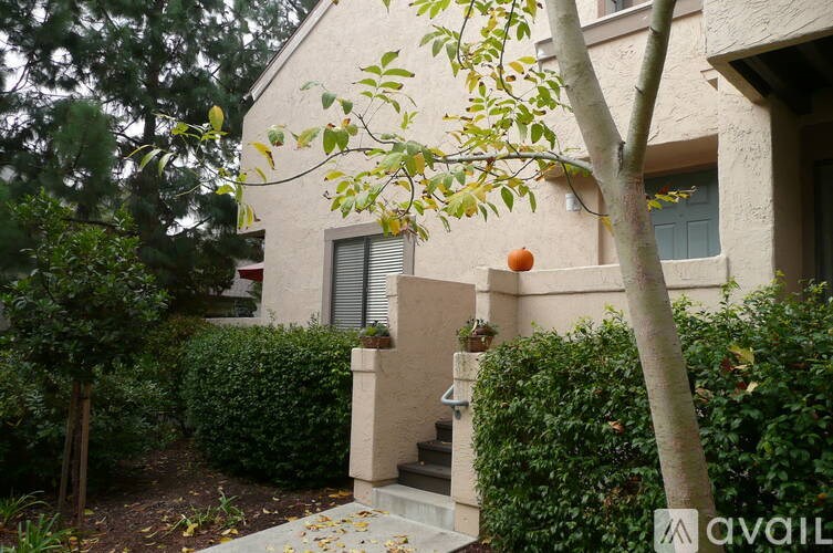 A tree with green leaves is in front of a house with a window and a door.