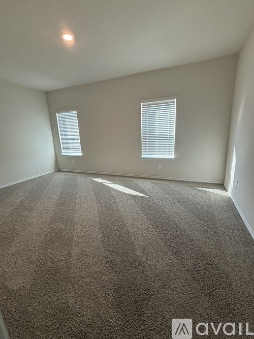 A carpeted room with two windows and a ceiling light.
