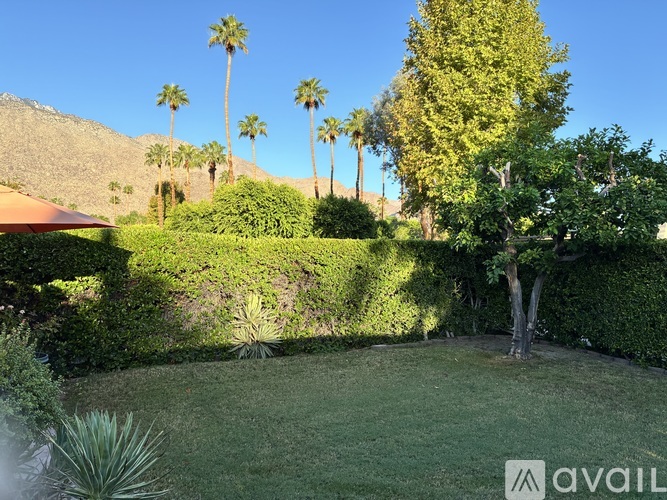 A garden with a tree, hedges and palm trees.