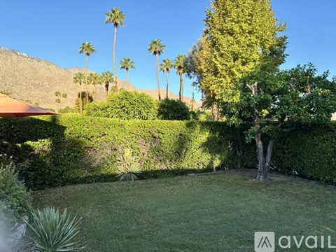 A garden with a tree, hedges and palm trees.