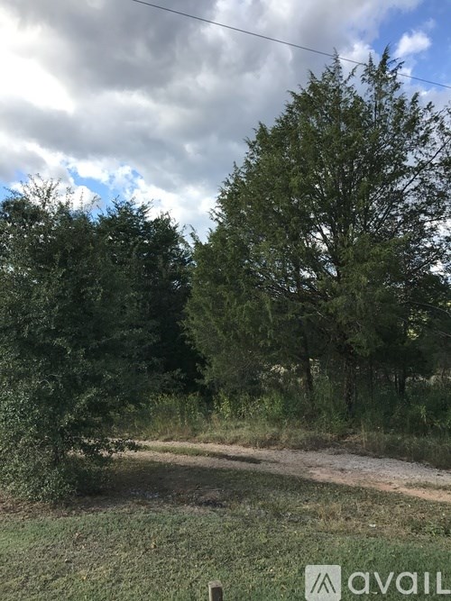 A dirt road leads through a grassy area with trees on either side.