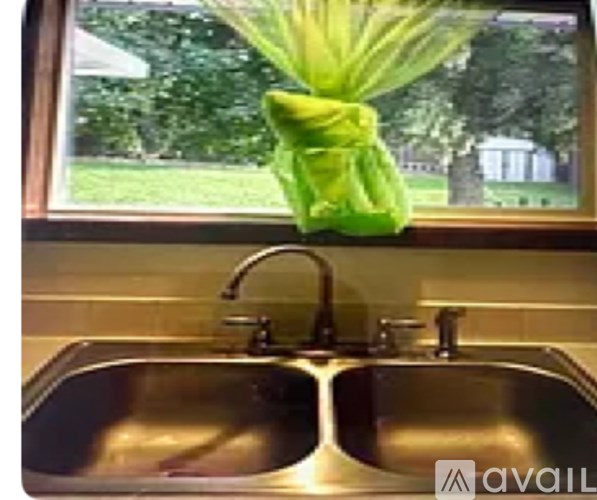 A green bag is hanging on a kitchen sink.