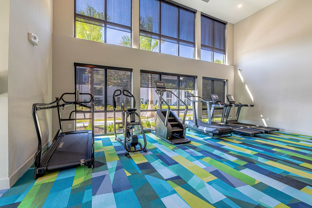 A gym with treadmills, elliptical machines and a rowing machine.