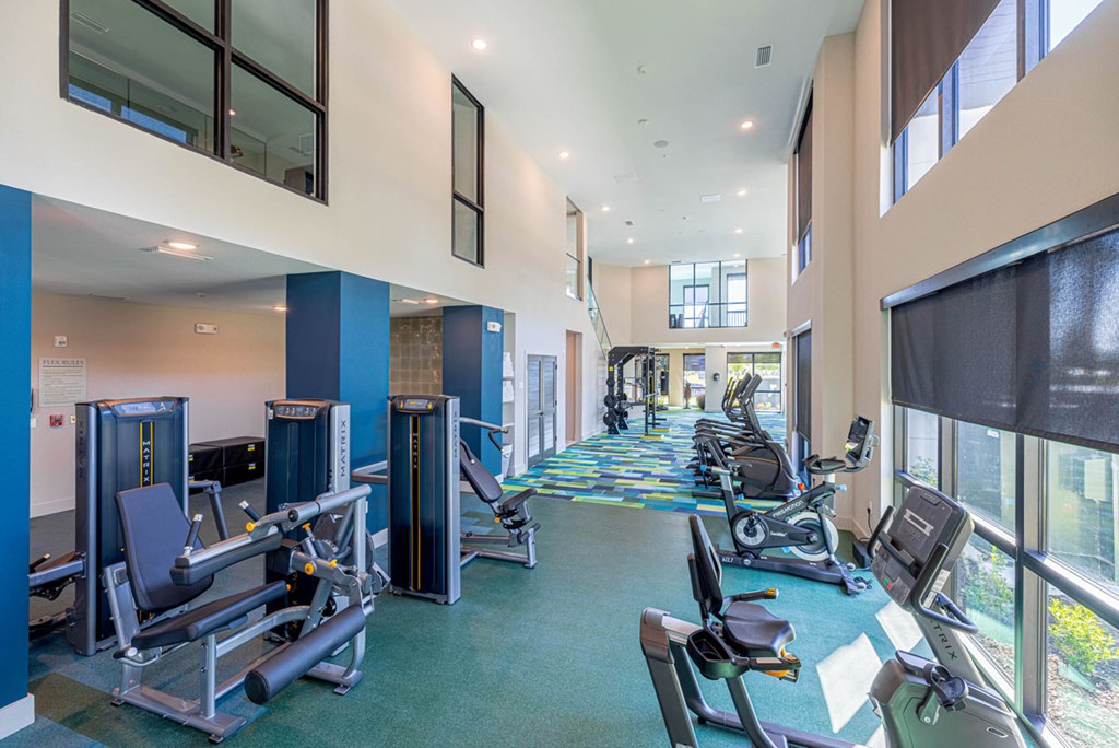 A gym with a row of treadmills and exercise bikes.