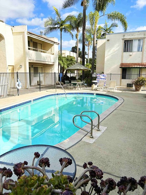 A pool surrounded by a fence and palm trees.
