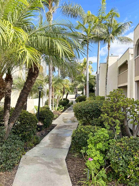 A walkway with a concrete surface is lined with green plants and trees.