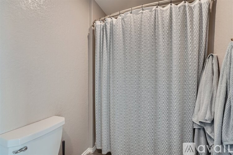 A white toilet sits next to a shower curtain in a bathroom.