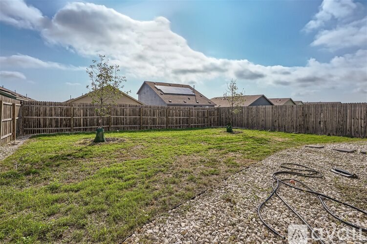 A backyard with a wooden fence and a small tree in the middle.