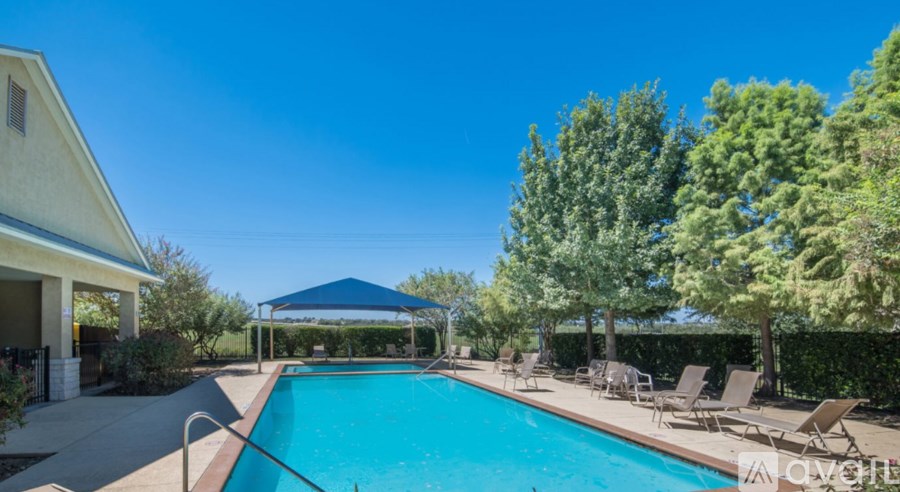 A pool with a blue canopy and chairs around it.