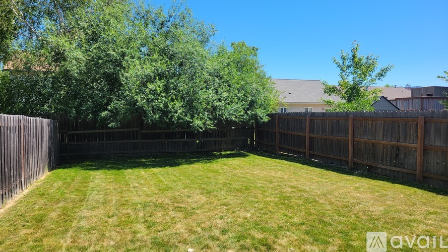 A backyard with a wooden fence and green grass.