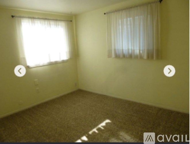 A room with a carpeted floor and two windows with curtains.