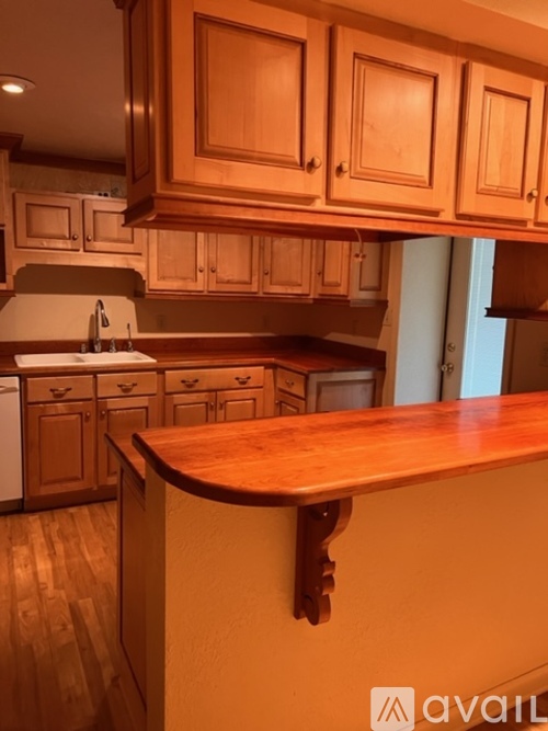 A kitchen with wooden cabinets and a counter.