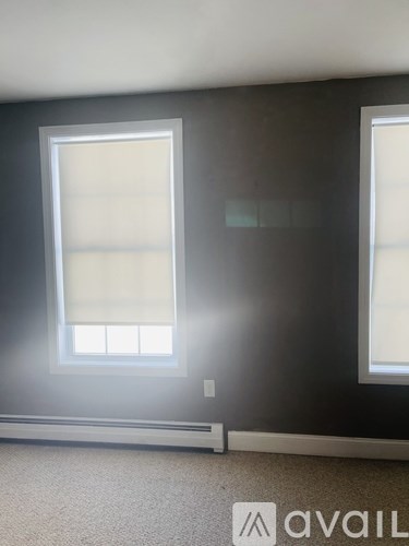 A room with two windows and a carpeted floor.