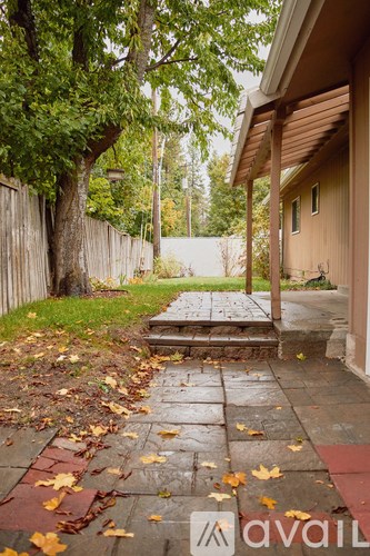 A wet concrete patio with fallen leaves and a wooden fence.