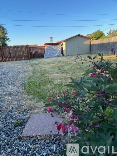 A backyard with a gravel path, a wooden fence, and a shed.