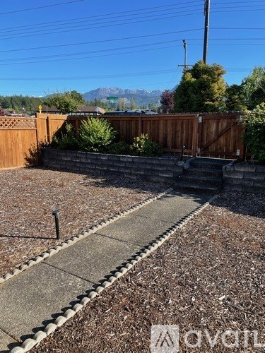 A backyard with a wooden fence and a concrete pathway.