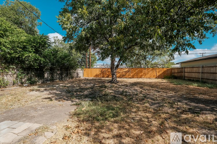 A backyard with a tree, a fence, and a grassy area.
