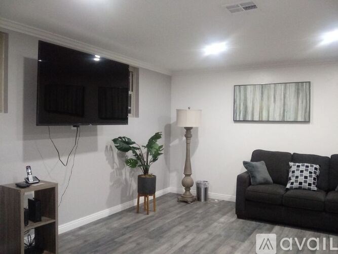 A living room with a grey couch, a television, a floor lamp, and a potted plant.
