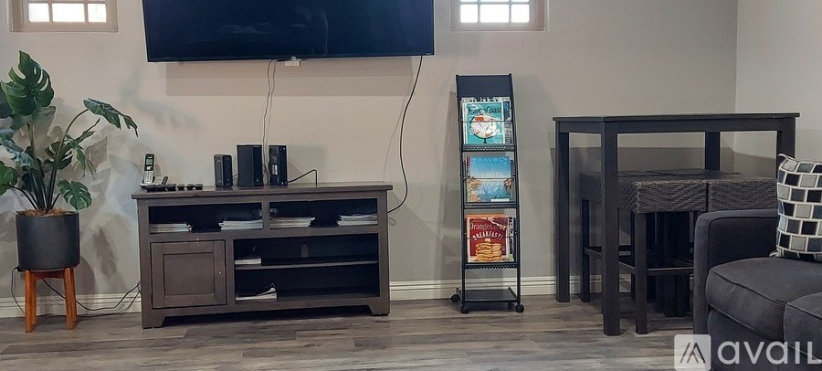 A living room with a television, a stand with books and a potted plant.