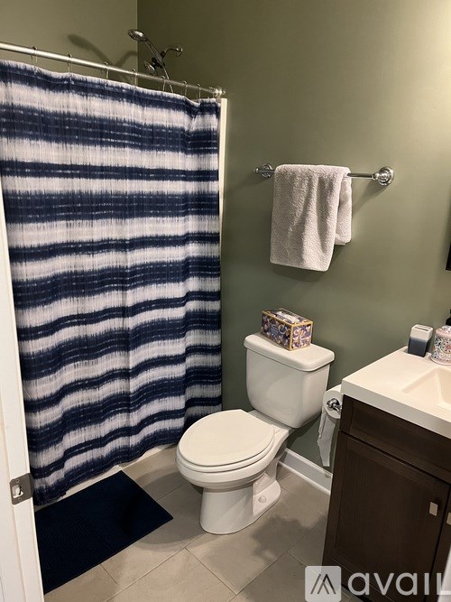 A bathroom with a toilet, sink, and shower curtain.