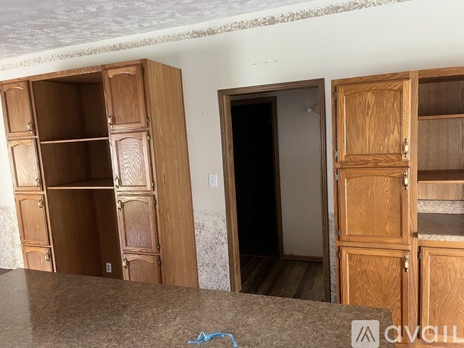 A room with wooden cupboards and a door.