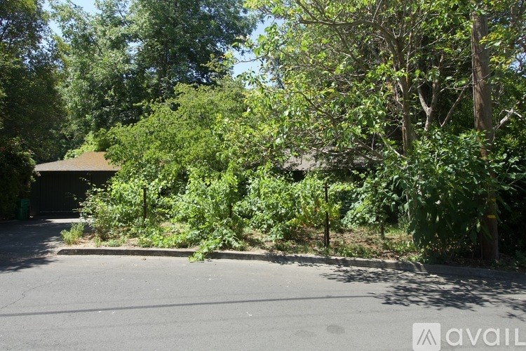 A tree-filled area with a road in the foreground.