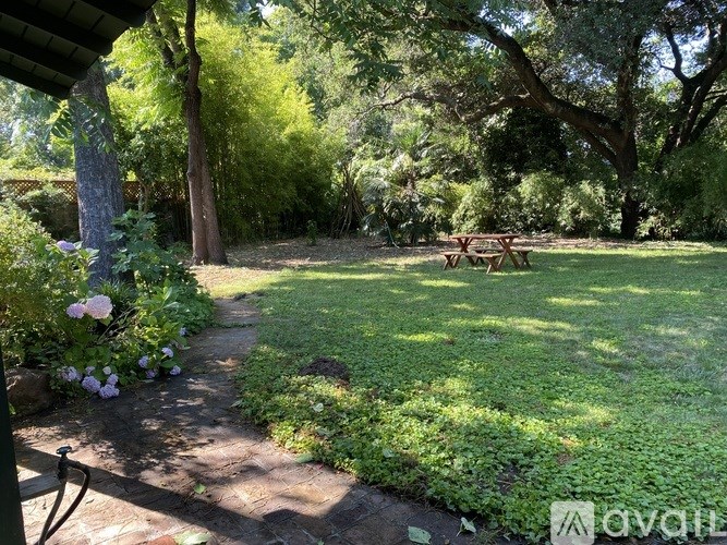 A backyard with a picnic table and a pathway.