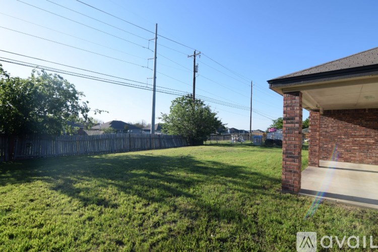 A sunny day in a backyard with a fence and a utility pole.