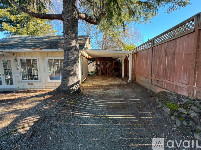 A tree in front of a house with a wooden fence.