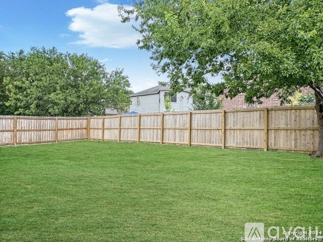 A backyard with a wooden fence and a tree.