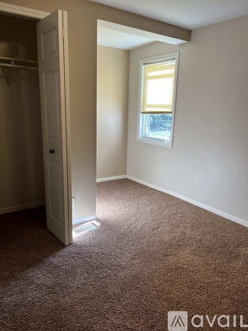 A tree with green leaves is in the background.