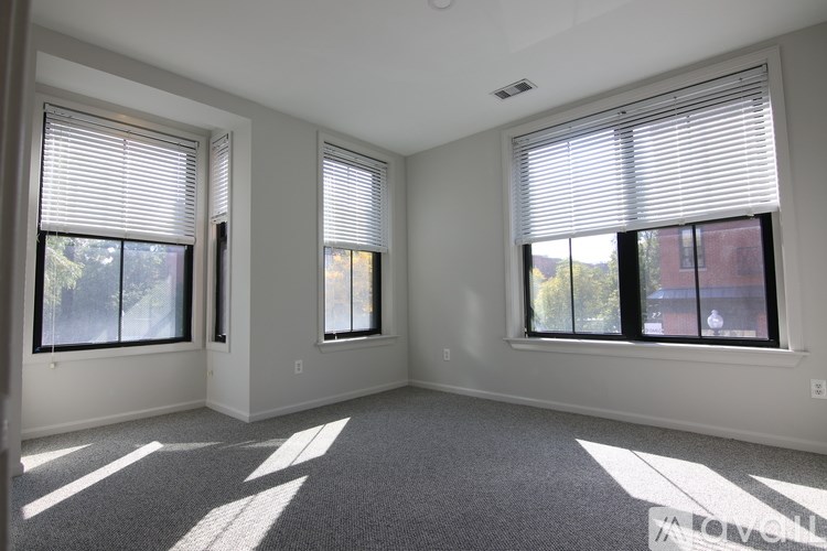 A room with two windows and a carpeted floor.