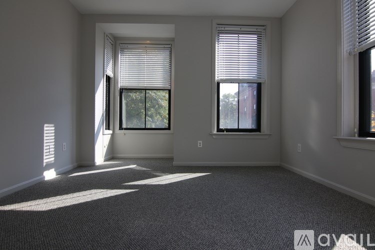 A sunny room with two windows and a carpeted floor.