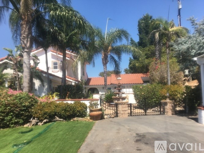 A house with a driveway and palm trees in front.