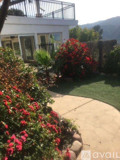 A white house with a black fence and a garden with red flowers.