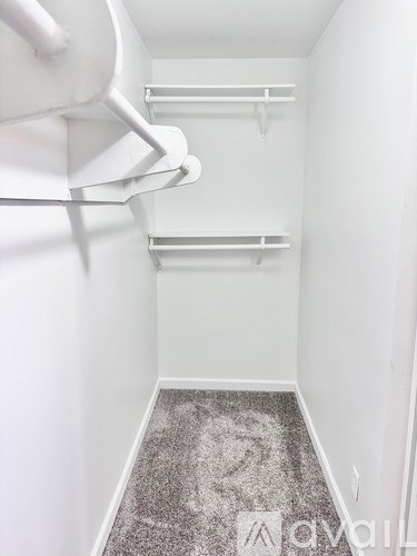A white closet with a carpeted floor and a white door.