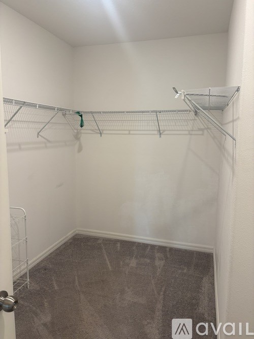 A walk-in closet with a white door, shelves, and a grey carpet.