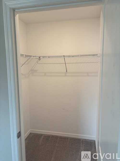 Empty white closet with a carpeted floor.
